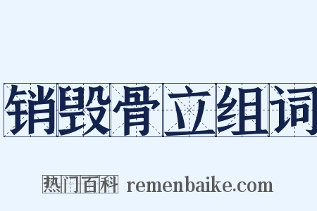 销毁骨立组词是什么意思的图片